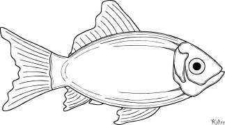 කෝඩෙක් මුද්‍රණය කළ හැකි වර්ණ පිටු